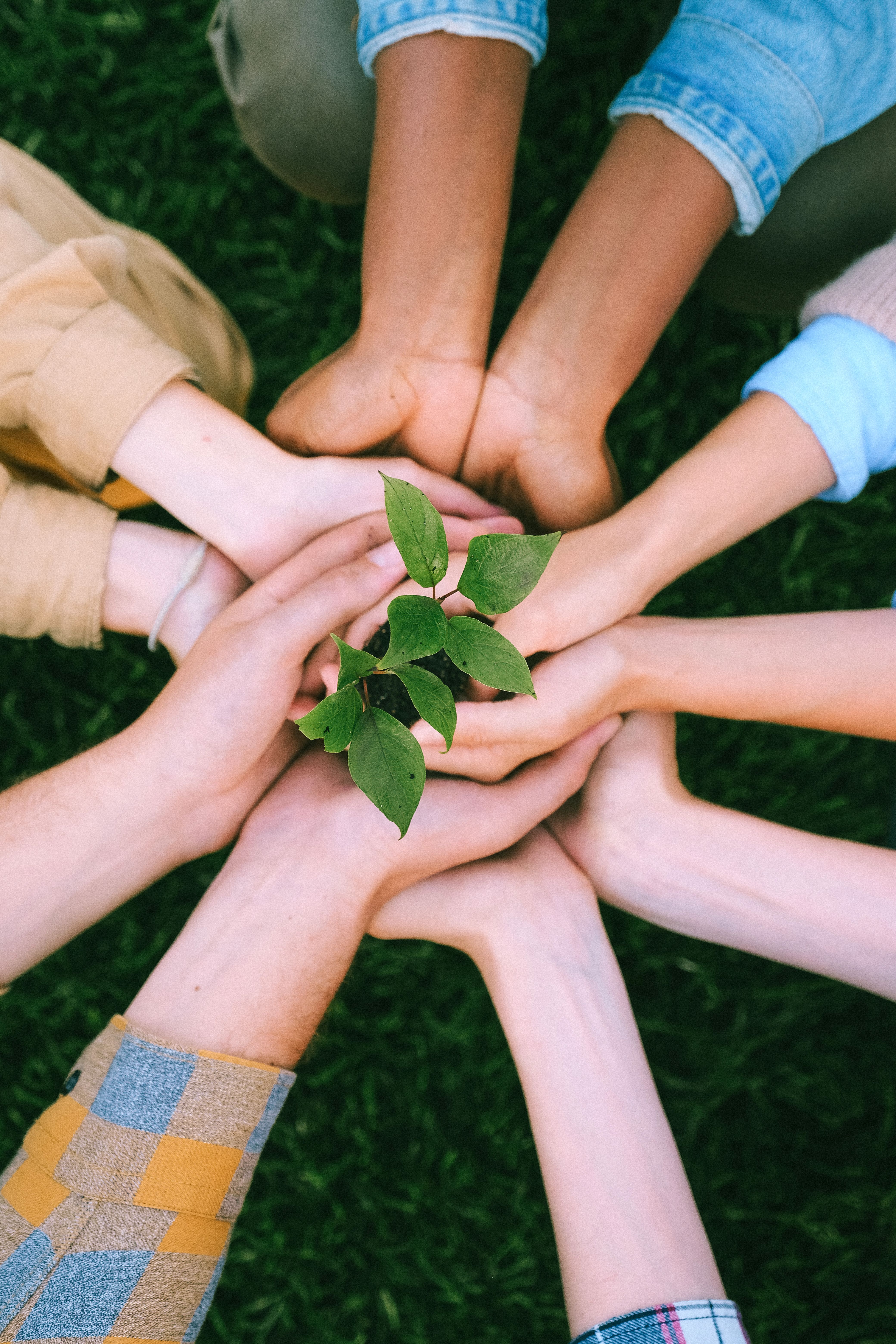 Founders’ Dilemmas – Everyone wants to be CEO